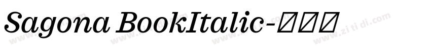 Sagona BookItalic字体转换